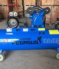 Hình ảnh: Mức Độ Quan Trọng Của Máy Nén Khí Pegasus