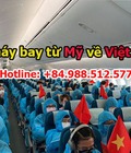 Hình ảnh: Bán vé máy bay từ Mỹ về Việt Nam cho chuyên gia, Việt Kiều