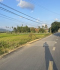 Hình ảnh: Bán 1843m đất mặt tiền đường nhựa Diên Phú Diên Khánh
