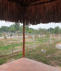 Hình ảnh: Bán đất vườn Củ Chi, ngay Phú Hòa Đông, ngã tư Tân Quy 1tr9/m2