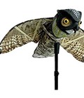 Hình ảnh: Hình Nộm đuổi chim Prowler OWL