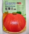Hình ảnh: Hạt giống bí đỏ mặt trời hàng nhập Đài Loan