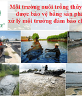 Hình ảnh: Chứng nhận hợp quy Sản phẩm xử lý môi trường nuôi trồng thủy sản