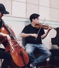 Hình ảnh: Dạy học đàn Cello Số 1 Hà Nội về chất lượng dạy
