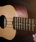 Hình ảnh: Những điều cần lưu ý khi mua đàn ukulele dành cho người chơi