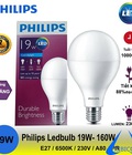 Hình ảnh: Bóng đèn philips với nguồn sáng ổn định