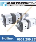 Hình ảnh: Bơm thủy lực Marzocchi tại Việt Nam