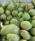 Hình ảnh: Mua dừa xiêm xanh đúng chuẩn , giá sỉ ở đâu