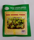 Hình ảnh: Hạt giống bầu tròn Thái Lan