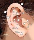 Hình ảnh: Xỏ khuyên tai cá tính Bắt trend độc đáo của giới trẻ