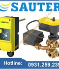 Hình ảnh: Bộ điều khiển van Sauter tại Việt Nam