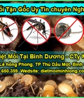 Hình ảnh: Dịch Vụ Diệt Mối Tận Gốc, Kiểm soát sinh vật hại Tại Bình Dương