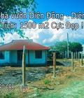 Hình ảnh: Bán đất Diên Đồng 1500m2 thổ cư giá chỉ 1 triệu/m2