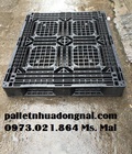 Hình ảnh: Chuyên cung cấp pallet nhựa tại Đồng Nai