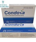 Hình ảnh: Thuốc Condova 500mg Hydroxyure chữa bệnh gì thuốc condova 500mg đang có giá