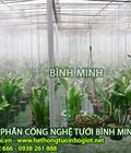 Hình ảnh: Béc tưới phun sương, bộ tưới phun sương tự động chọn gói, hệ thống tưới phun sương israel