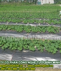 Hình ảnh: Bán màng phủ nông nghiệp tại hà nội, bán màng phủ nông nghiệp giá rẻ, cung cấp màng phủ nông nghiệp giá rẻ