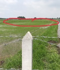 Hình ảnh: Đất trồng lúa 1089m2 xã trung lập hạ,chỉ dành cho người canh tác
