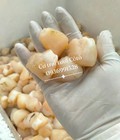 Hình ảnh: Bán cơ trai tươi ngon giòn sạch