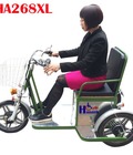 Hình ảnh: Xe điện 3 bánh tự chế HA268XL dành cho người già, người khuyết tật