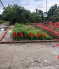 Hình ảnh: Cần tiền chữa bệnh bán gấp lo đất 100m2 Tân thới nhì , Giá 650triệu.