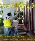 Hình ảnh: Dịch vụ phòng chống mối nhà ở