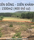 Hình ảnh: Bán đất Diên Đồng thổ cư 1500m2