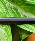 Hình ảnh: Surface Slim Pen Viết cảm ứng cho Surface Pro X kèm sạc không dây Nguyên SEAL