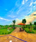Hình ảnh: Cần bán gấp đất vườn huyện Củ Chi, 502m2 sổ hồng riêng