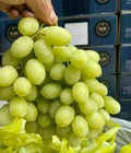 Hình ảnh: SCK Mart 306 Ngọc Lâm Tổng kho hoa quả nhập khẩu, đưa giá gốc tới tay khách hàng
