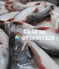 Hình ảnh: Địa chỉ bán cá basa fillet ở hà nội