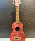 Hình ảnh: Học đàn ukulele và những lưu ý khi học