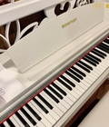 Hình ảnh: PIANO điện mới Bowman CX 250 có độ cảm nhận bàn phím hoàn hảo