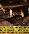 Hình ảnh: Dịch vụ diệt mối ở bình dương