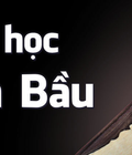Hình ảnh: Lớp học đàn Bầu tại Hà Nội