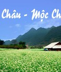 Hình ảnh: Du Lịch Mai Châu Mộc Châu Tour Giá Rẻ