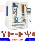 Hình ảnh: TPHCM bán máy gia công mộng cnc 5 trục SSM 120