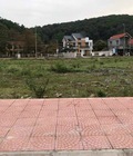 Hình ảnh: Bán đất phân lô giá rẻ rộc trong phù ninh