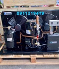 Hình ảnh: Phân phối cụm máy nén Tecumseh 5hp máy bền, giá tốt
