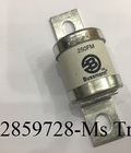 Hình ảnh: Cầu chì bussmann 250FM, xuất xứ India