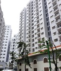 Hình ảnh: Cho thuê chcc tại Hoàng Cầu diện tích 95m2 vị trí đắc địa trung tâm