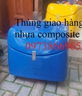 Hình ảnh: Sản xuất thùng giao hàng, thùng giao hàng nhựa, thùng chở hàng sau xe máy