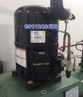 Hình ảnh: bán máy nén Tecumseh 5,5hp tại Tân Phú