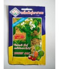 Hình ảnh: Hạt giống cải ngồng bông bự nhập khẩu Thái Lan