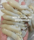 Hình ảnh: Nơi bán ốc móng tay tươi ngon ở hà nội