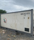 Hình ảnh: Container lạnh 20feet con cá sấu Nhật Bản