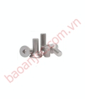 Hình ảnh: Bu lông lục giác chìm đầu bằng FHC 304 series FHC 304 M5x20