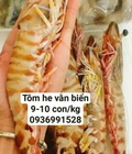 Hình ảnh: Địa chỉ bán tôm he vằn tươi ngon giá tốt