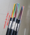 Hình ảnh: Cáp tín hiệu chống nhiễu băng nhôm và lưới đồng 24awg