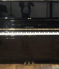Hình ảnh: Đàn piano và đàn organ khác nhau như thế nào